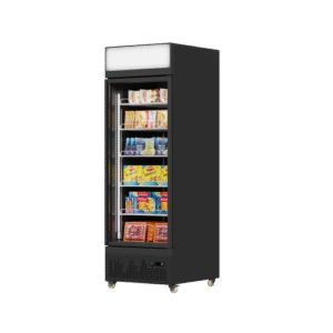 JY-29LDM Frozen Display Freezer